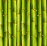 Bamboo Background Stock Photography Bamboo Background Stock Photography
