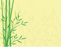 Bamboo Background Stock Photo Bamboo Background Stock Photo
