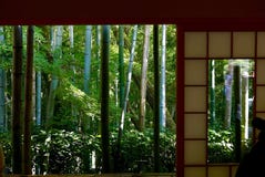 Bamboo forest view from tea house stock image Bamboo forest view from tea house stock image