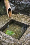 Bamboo Fountain Royalty Free Stock Photography Bamboo Fountain Royalty Free Stock Photography