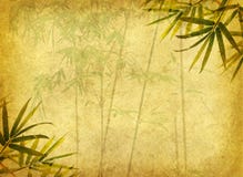 Bamboo on old grunge paper texture royalty free stock images Bamboo on old grunge paper texture royalty free stock images