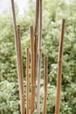 Bamboo poles, Chichester, West Sussex, UK stock image Bamboo poles, Chichester, West Sussex, UK stock image