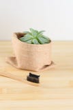 Bamboo toothbrush with charcoal toothpaste royalty free stock photography Bamboo toothbrush with charcoal toothpaste royalty free stock photography