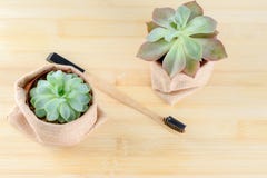 Bamboo toothbrush with charcoal toothpaste royalty free stock images Bamboo toothbrush with charcoal toothpaste royalty free stock images