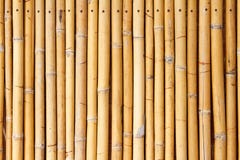 Bamboo Wall Royalty Free Stock Photos
