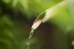 Bamboo Water Fountain Closeup In Nature Background Stock Image