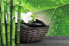  Bambu imagens de stock
