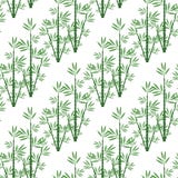 Bambù senza cuciture del modello per un fondo illustrazione vettoriale Bambù senza cuciture del modello per un fondo illustrazione vettoriale