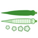 Bamiya o el plano entero de las vainas sanas frescas del este comestibles de la comida del quingombó pone iconos ilustración del vector Bamiya o el plano entero de las vainas sanas frescas del este comestibles de la comida del quingombó pone iconos ilustración del vector