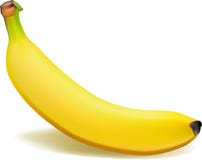 Banana ilustração royalty free Banana ilustração royalty free