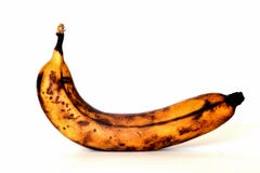 banana fungus background moldy mold cupcake