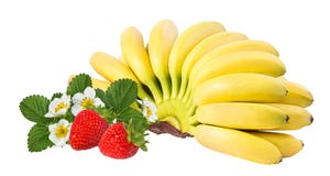 Bananes et fraises d'isolement image stock Bananes et fraises d'isolement image stock