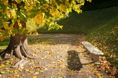 Banc coloré d'arbre et de pierre en parc italien en automne Photographie stock libre de droits Banc coloré d'arbre et de pierre en parc italien en automne Photographie stock libre de droits
