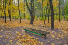 Banc en stationnement d'automne photographie stock libre de droits Banc en stationnement d'automne photographie stock libre de droits