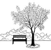 Banc en stationnement de ville Illustration de paysage de griffonnage illustration de vecteur Banc en stationnement de ville Illustration de paysage de griffonnage illustration de vecteur