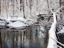 Banco cerca de la cala en el bosque del invierno, nieve fresca fotos de archivo libres de regalías Banco cerca de la cala en el bosque del invierno, nieve fresca fotos de archivo libres de regalías