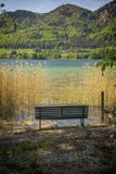 Banco vacío en un lago en un día soleado en verano imagen de archivo libre de regalías Banco vacío en un lago en un día soleado en verano imagen de archivo libre de regalías