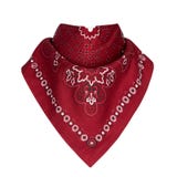 Bandana, fundo branco fotos de stock royalty free Bandana, fundo branco fotos de stock royalty free