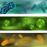 Bandeira com um grupo de vírus e de bactérias Vírus e bactérias sob o microscópio Vírus bacteriano, pilhas microbianas ilustração do vetor Bandeira com um grupo de vírus e de bactérias Vírus e bactérias sob o microscópio Vírus bacteriano, pilhas microbianas ilustração do vetor