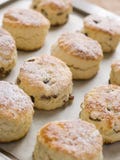 Bandeja de Scones da fruta imagens de stock royalty free Bandeja de Scones da fruta imagens de stock royalty free