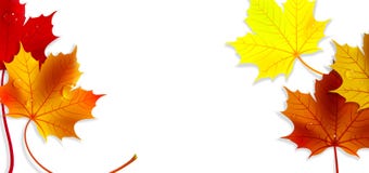 Bandera con Autumn Maple Leaves colorido Foto de archivo Bandera con Autumn Maple Leaves colorido Foto de archivo