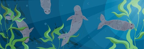 Bandera con los sellos que nadan en el mar Gr?ficos de vector libre illustration Bandera con los sellos que nadan en el mar Gr?ficos de vector libre illustration