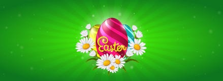 Bandera de la web de Pascua con los huevos y las flores pintados de la manzanilla ilustración del vector Bandera de la web de Pascua con los huevos y las flores pintados de la manzanilla ilustración del vector