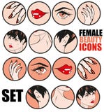 Bandes dessinées classiques Pin Up Style de vecteur réglées par icônes femelles de beauté rétros illustration de vecteur Bandes dessinées classiques Pin Up Style de vecteur réglées par icônes femelles de beauté rétros illustration de vecteur