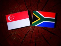 Bandiera di Singapore con la bandiera sudafricana su un isolato del ceppo di albero immagine stock libera da diritti Bandiera di Singapore con la bandiera sudafricana su un isolato del ceppo di albero immagine stock libera da diritti