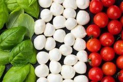 Bandiera italiana fatta con la mozzarella ed il basilico del pomodoro Il concetto di cucina italiana fotografie stock Bandiera italiana fatta con la mozzarella ed il basilico del pomodoro Il concetto di cucina italiana fotografie stock