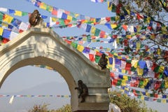 Bandiere nepalesi di preghiera nel complesso del tempio di Swayambhunath fotografia stock Bandiere nepalesi di preghiera nel complesso del tempio di Swayambhunath fotografia stock