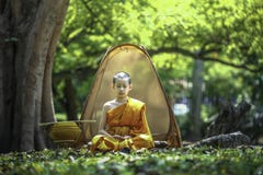Novices are meditating under a big tree. stock photography Novices are meditating under a big tree. stock photography