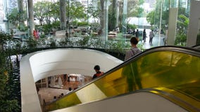 BANGKOK, THAILAND - 18 DECEMBER, 2018 het Emquartier-luxewinkelcentrum Groen ontwerp van wandelgalerij, ecologisch stock videobeelden BANGKOK, THAILAND - 18 DECEMBER, 2018 het Emquartier-luxewinkelcentrum Groen ontwerp van wandelgalerij, ecologisch stock videobeelden