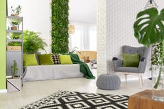 Bank met groene hoofdkussens en deken die zich in open pleklivin bevinden stock foto Bank met groene hoofdkussens en deken die zich in open pleklivin bevinden stock foto
