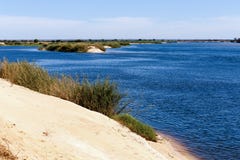 Bank of the river zambezi royalty free stock images Bank of the river zambezi royalty free stock images