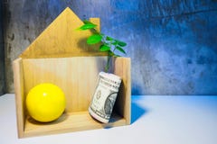 Banknotes in wood house There are many coin royalty free stock photos Banknotes in wood house There are many coin royalty free stock photos