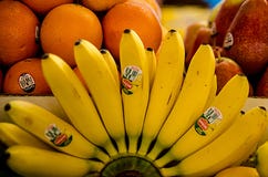 Bannas lizenzfreie stockfotos Bannas lizenzfreie stockfotos
