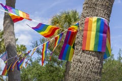 Banner of the gay pride flag hangs on the trees. stock image Banner of the gay pride flag hangs on the trees. stock image