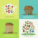 Banners with nuts and berries. Vector illustration royalty free illustration Banners with nuts and berries. Vector illustration royalty free illustration