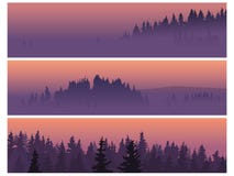 Banners Of Coniferous Wood In A Fog. Stock Images Banners Of Coniferous Wood In A Fog. Stock Images