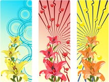 Banners With Bright Flowers Stock Photo Banners With Bright Flowers Stock Photo