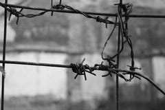 Barbed wire node on a grey background. stock photography Barbed wire node on a grey background. stock photography