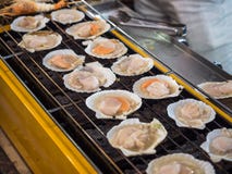 Barbecue grill cooking seafood, grilled scallops royalty free stock photography Barbecue grill cooking seafood, grilled scallops royalty free stock photography