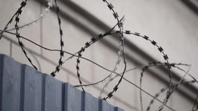Barbed wire on prison wall