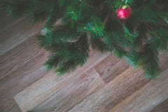 Bare Christmas Tree Royalty Free Stock Image - Image: 3309126