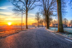 Bare Tree Near Road Royalty Free Stock Photos Bare Tree Near Road Royalty Free Stock Photos