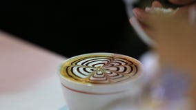 Barista przygotowywa latte Latte sztuka zbiory Barista przygotowywa latte Latte sztuka zbiory