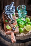 Barmaningrediënten klaar om een drank te maken stock foto Barmaningrediënten klaar om een drank te maken stock foto