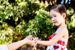 Barn som ger växtplantan royaltyfri foto Barn som ger växtplantan royaltyfri foto