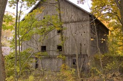Barn In The Woods Stock Photo Image Of Worn Neglected 11560098
